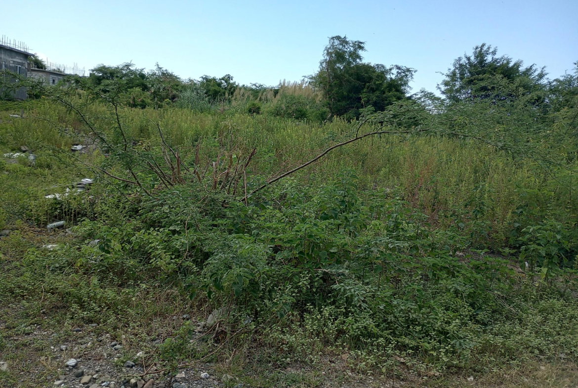 Fourth image of Lot 29 Albion Estate in Albion, St. Thomas, Jamaica - property is For Sale