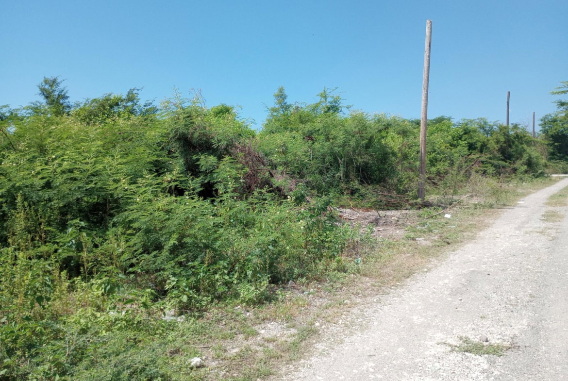 Sixth image of Lot 29 Albion Estate in Albion, St. Thomas, Jamaica - property is For Sale