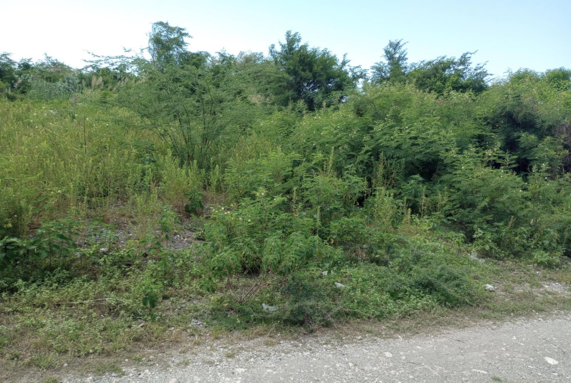 Seventh image of Lot 29 Albion Estate in Albion, St. Thomas, Jamaica - property is For Sale