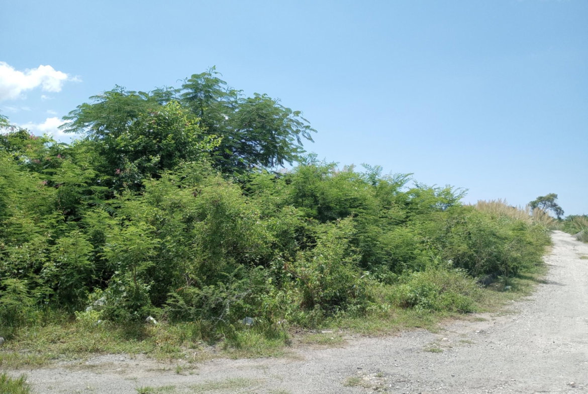 Eighth image of Lot 29 Albion Estate in Albion, St. Thomas, Jamaica - property is For Sale