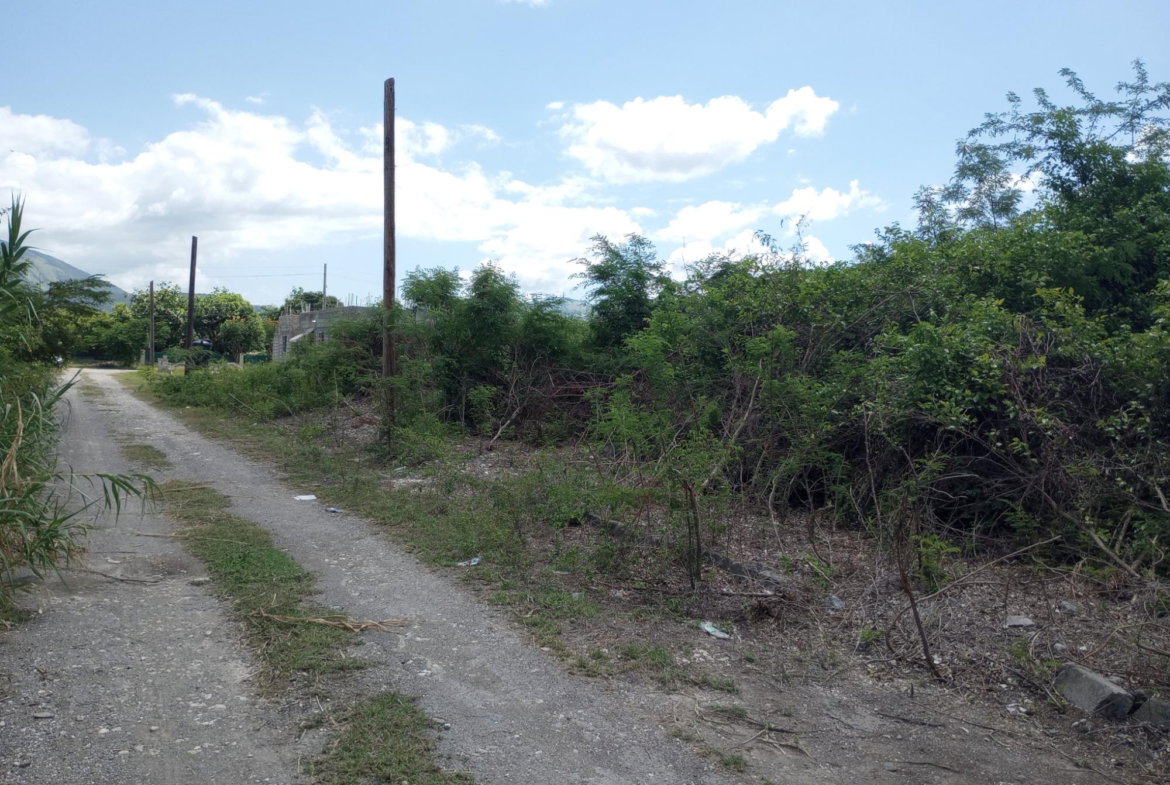 Ninth image of Lot 29 Albion Estate in Albion, St. Thomas, Jamaica - property is For Sale