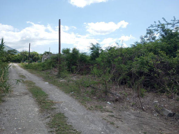 Ninth image of Lot 29 Albion Estate in Albion, St. Thomas, Jamaica - property is For Sale