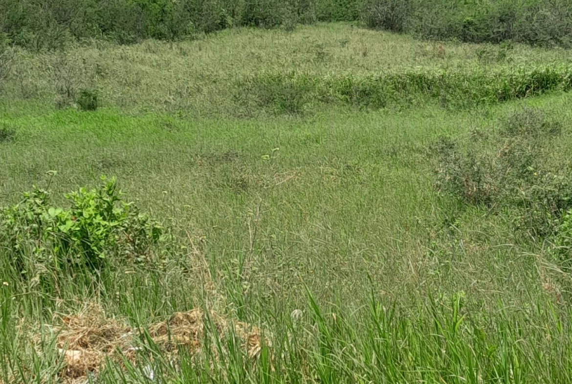 Eleventh image of 434 Moorelands Manor Phase 3 in Moorlands Phase 3, Manchester, Jamaica - property is For Sale
