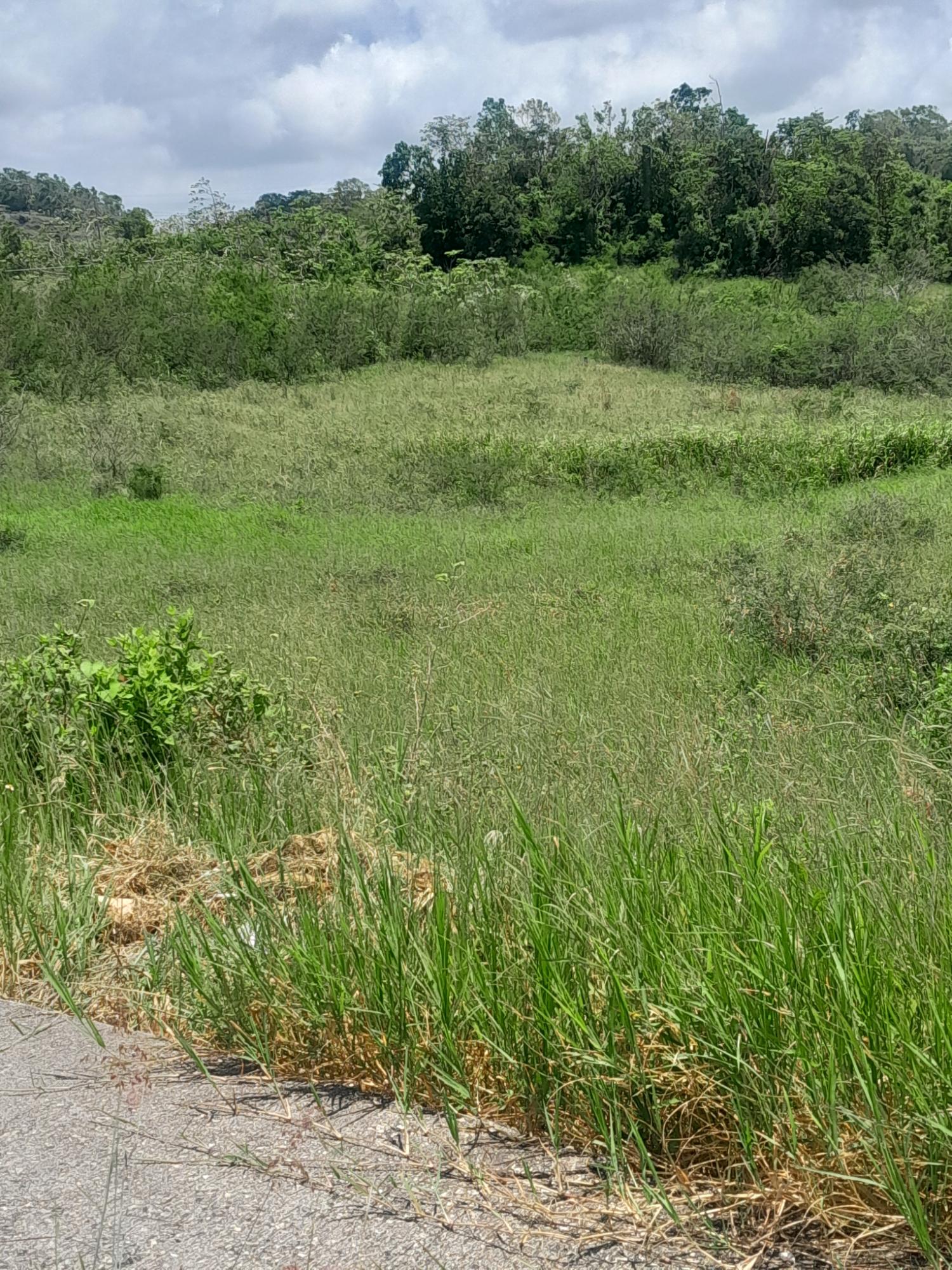 Eleventh image of 434 Moorelands Manor Phase 3 in Moorlands Phase 3, Manchester, Jamaica - property is For Sale
