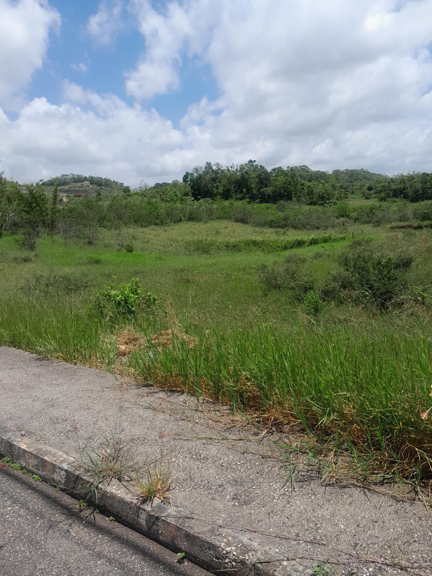 Twelfth image of 434 Moorelands Manor Phase 3 in Moorlands Phase 3, Manchester, Jamaica - property is For Sale