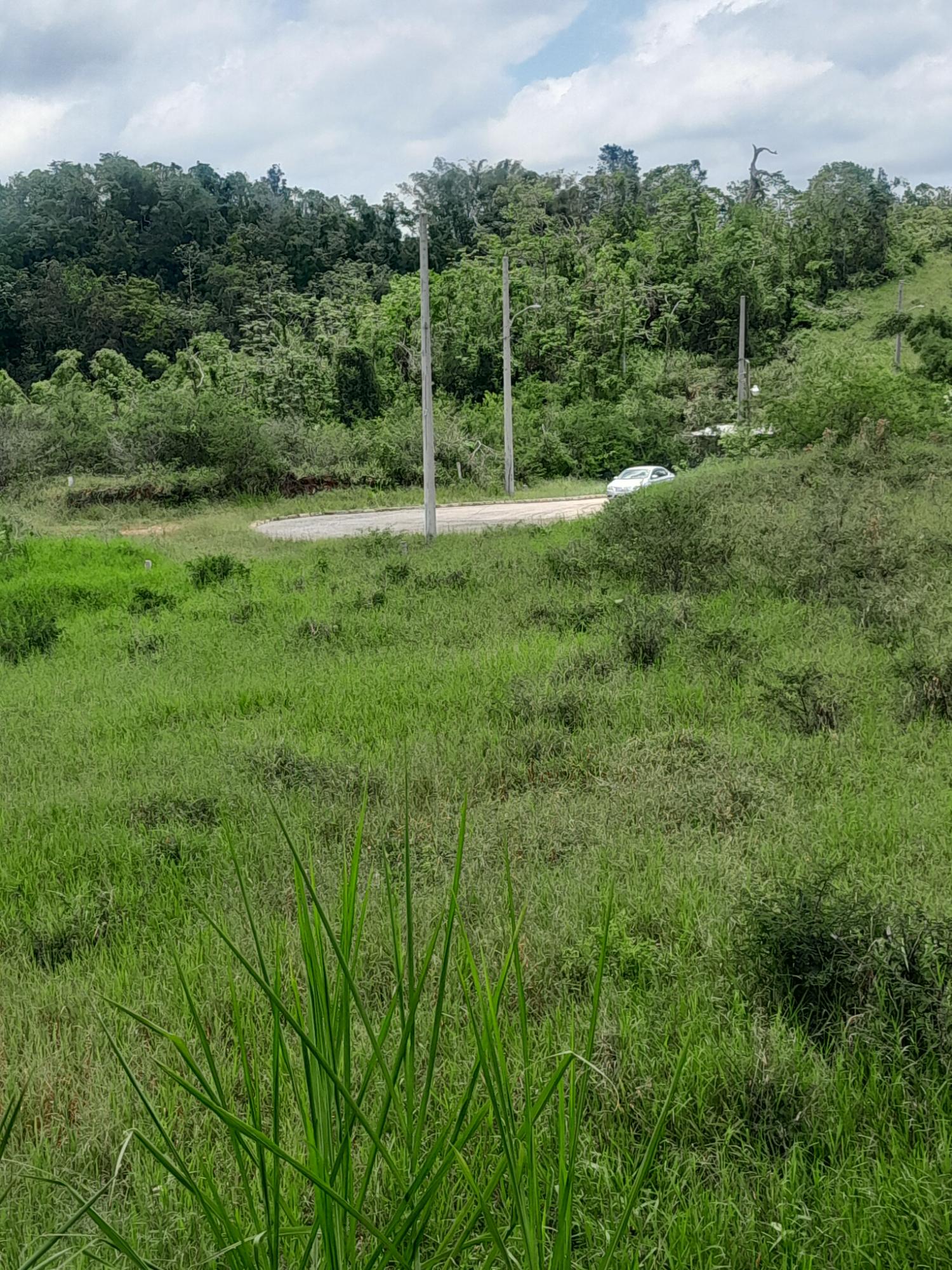 Fourth image of 434 Moorelands Manor Phase 3 in Moorlands Phase 3, Manchester, Jamaica - property is For Sale