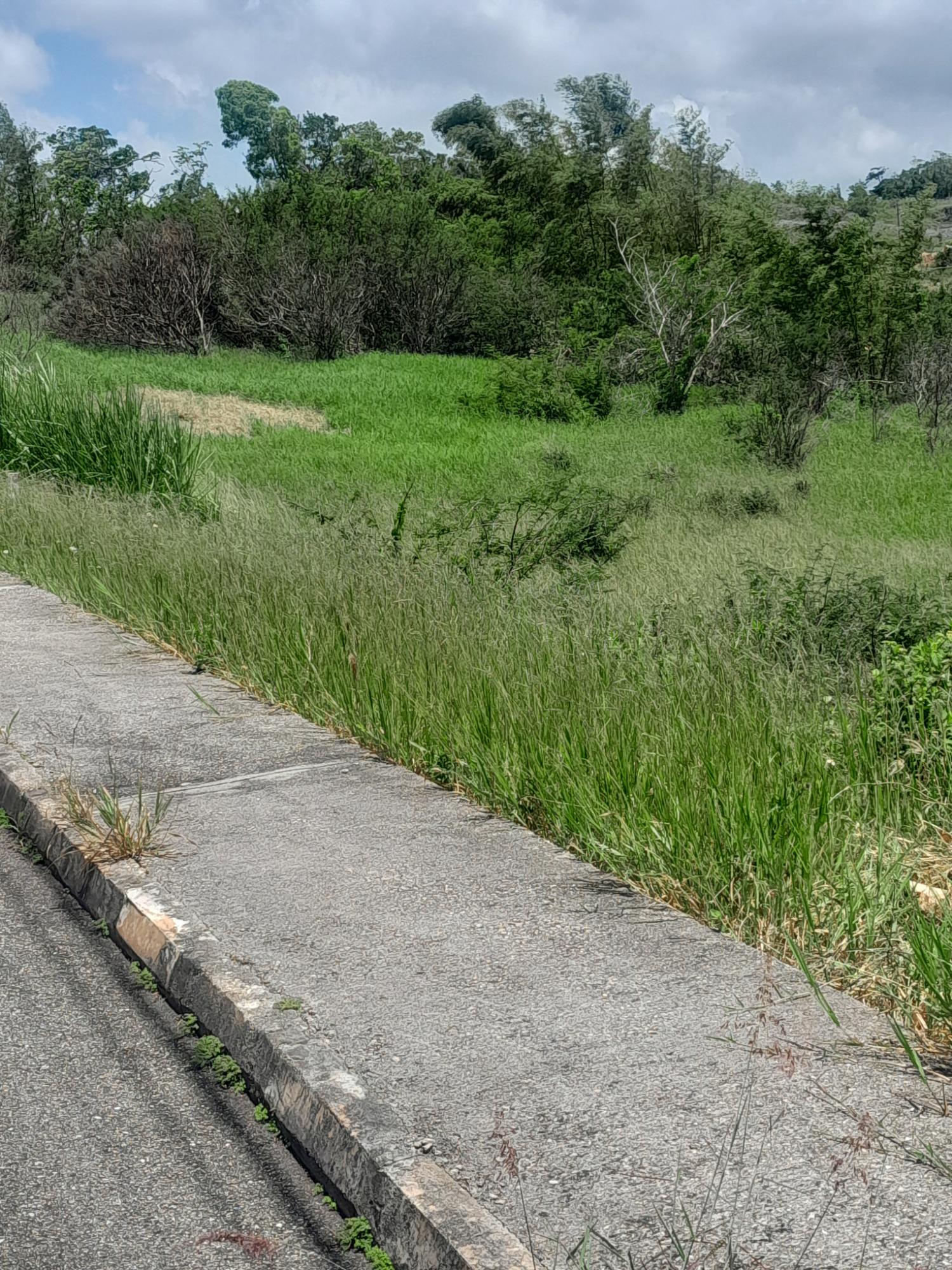 Eighth image of 434 Moorelands Manor Phase 3 in Moorlands Phase 3, Manchester, Jamaica - property is For Sale