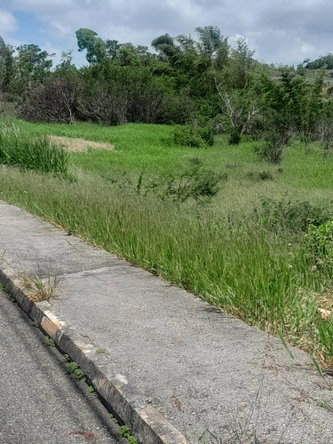 Eighth image of 434 Moorelands Manor Phase 3 in Moorlands Phase 3, Manchester, Jamaica - property is For Sale
