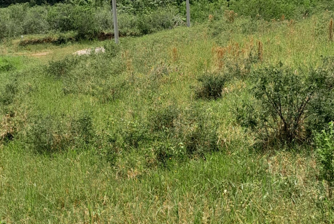 Ninth image of 434 Moorelands Manor Phase 3 in Moorlands Phase 3, Manchester, Jamaica - property is For Sale