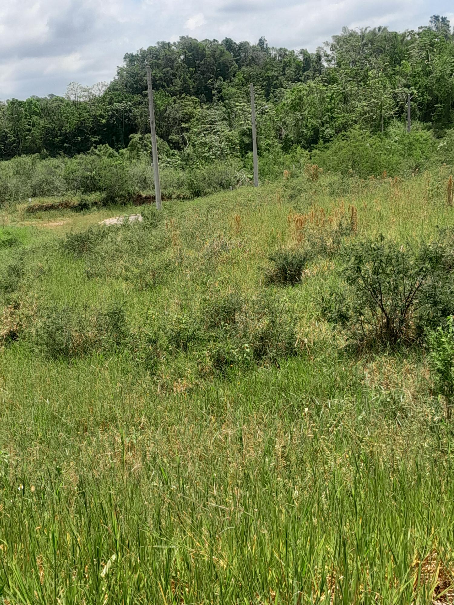 Ninth image of 434 Moorelands Manor Phase 3 in Moorlands Phase 3, Manchester, Jamaica - property is For Sale