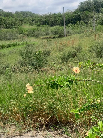 Tenth image of 434 Moorelands Manor Phase 3 in Moorlands Phase 3, Manchester, Jamaica - property is For Sale