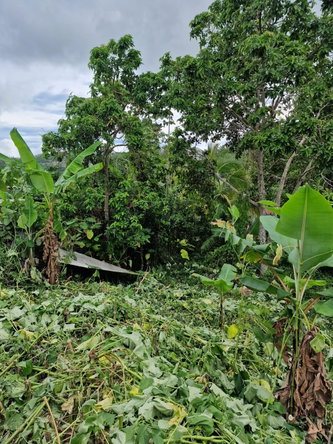 Sixth image of 115 Chudleigh in Christiana, Manchester, Jamaica - property is For Sale