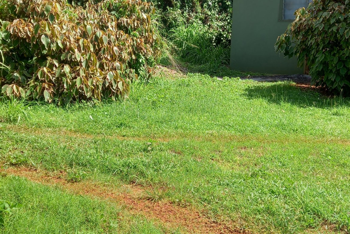 Second image of Plowden in Cross Keys, Manchester, Jamaica - property is For Sale