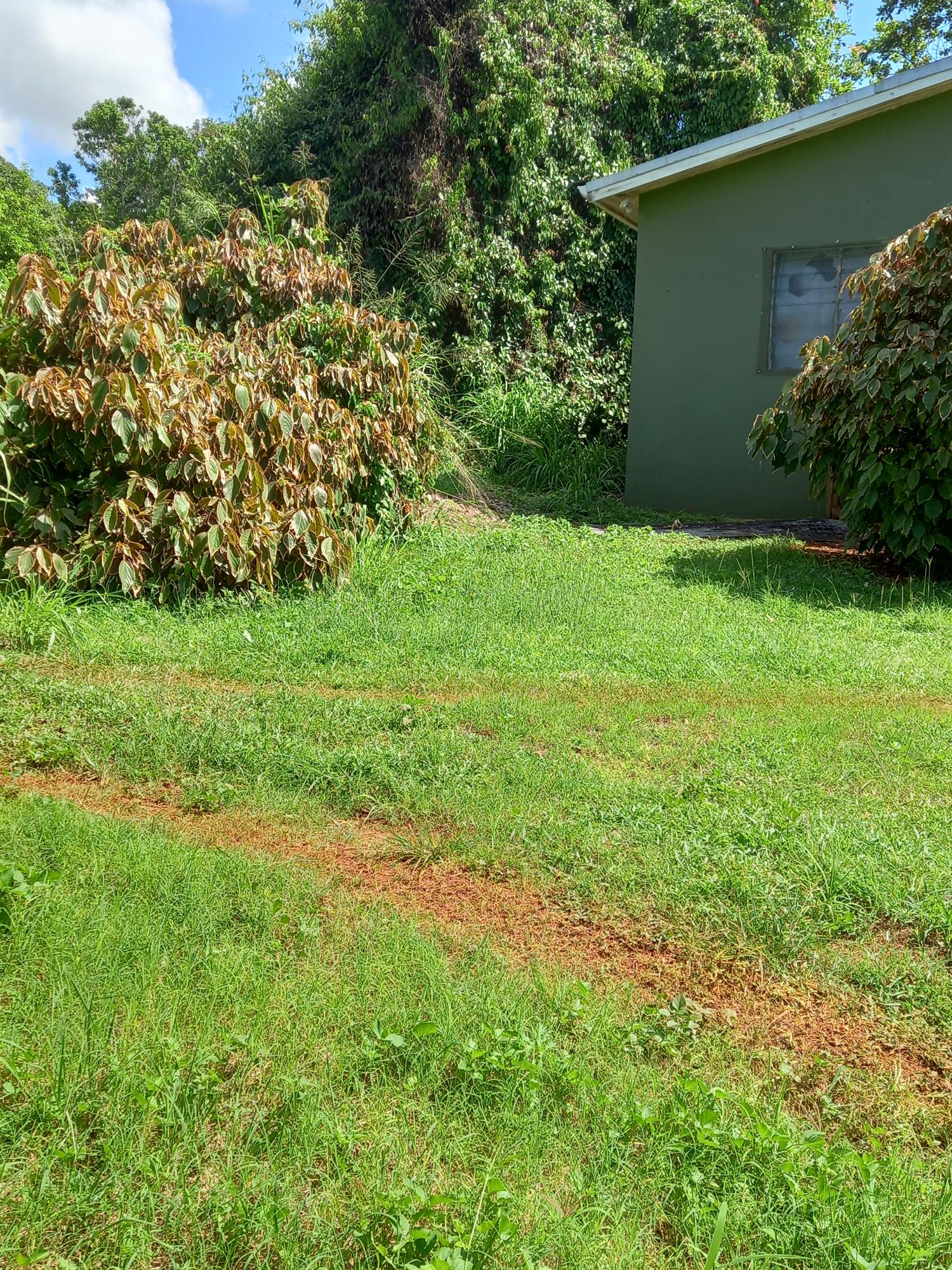 Second image of Plowden in Cross Keys, Manchester, Jamaica - property is For Sale