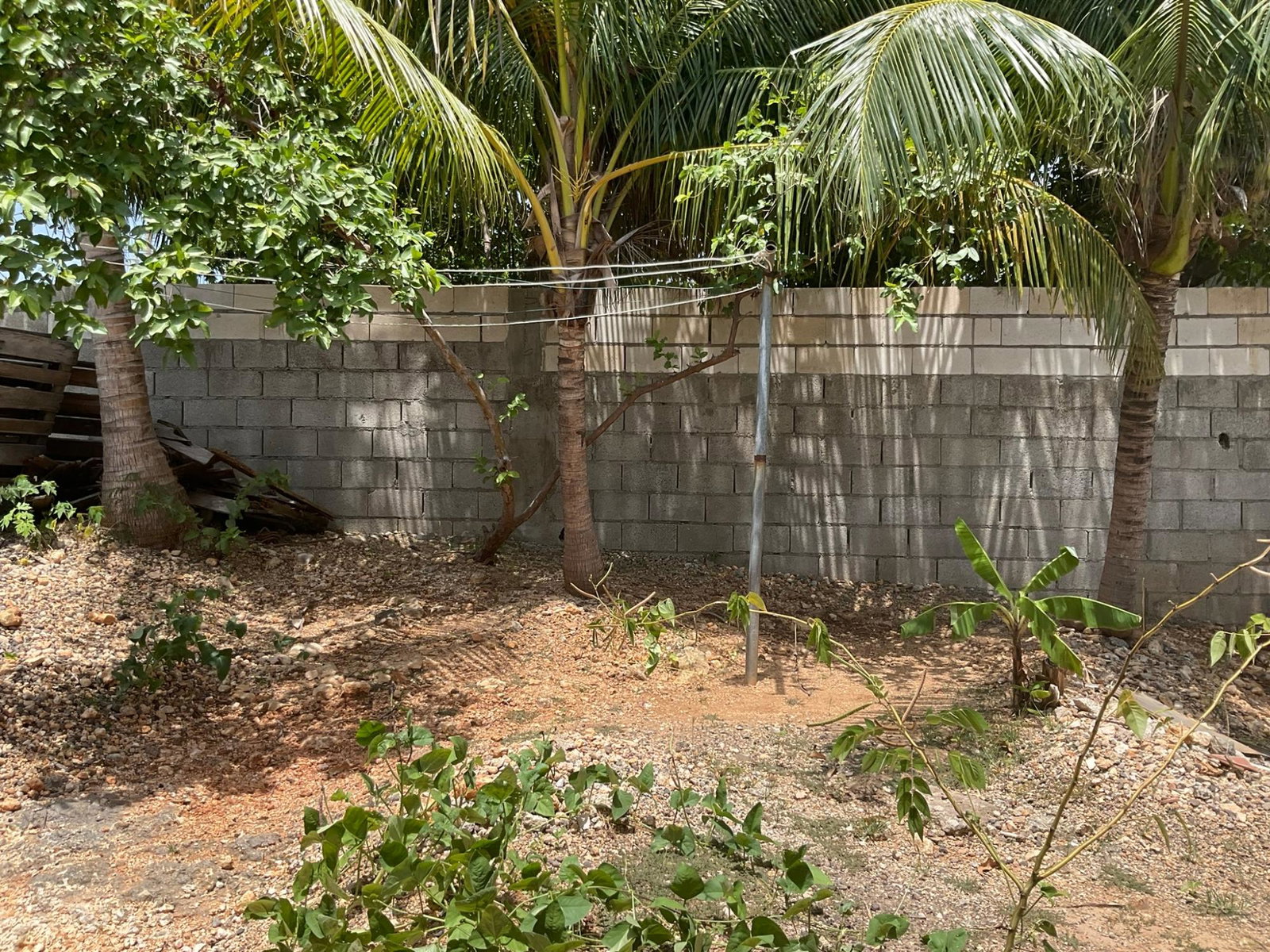 Eleventh image of Lot 855 Morning Glory Drive Longv in Longville Park, Clarendon, Jamaica - property is For Sale
