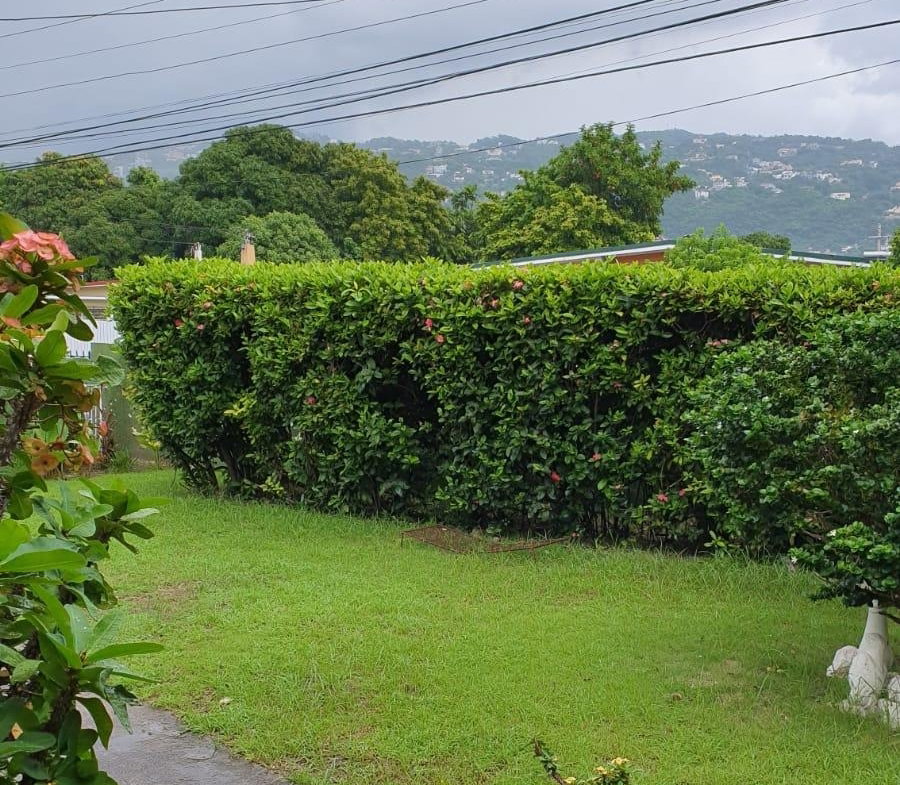 Eleventh image of Hillview Terrace, Valenti in Kingston 19, St. Andrew, Jamaica - property is For Sale