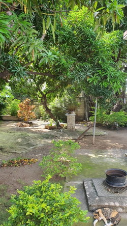 Eighth image of Hillview Terrace, Valenti in Kingston 19, St. Andrew, Jamaica - property is For Sale