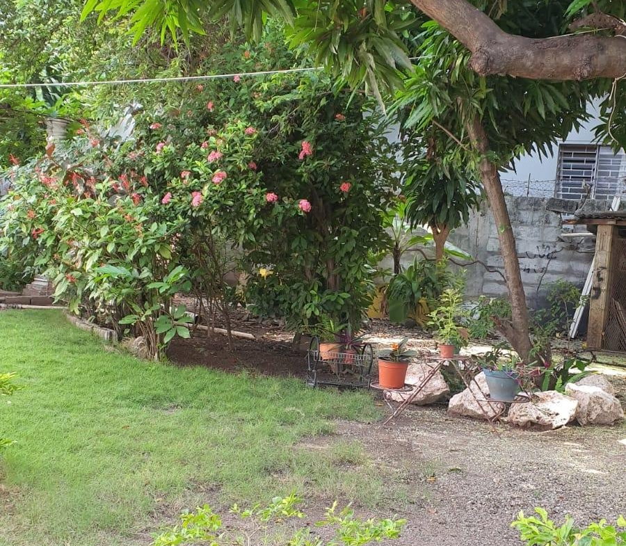 Ninth image of Hillview Terrace, Valenti in Kingston 19, St. Andrew, Jamaica - property is For Sale