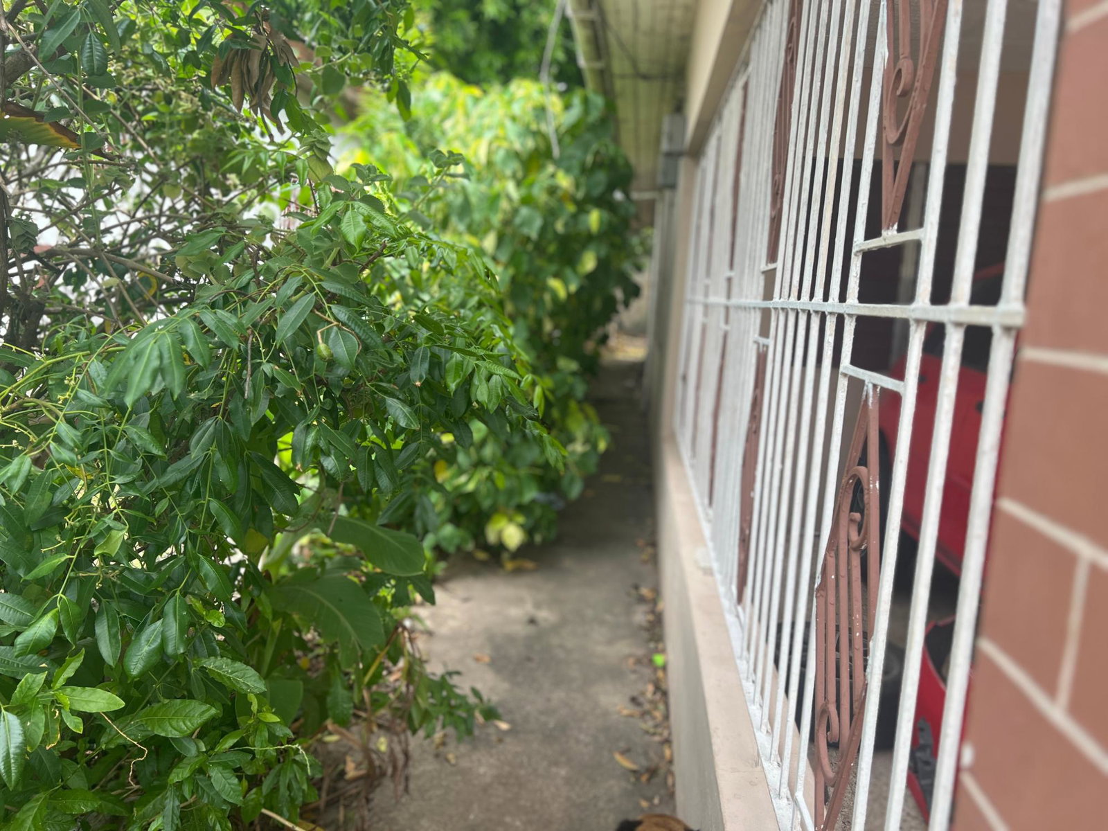 Charming-2-Family-Home-for-Sale-in-Three-Oaks-Gardens-Jamaica Fifteenth image of Champlain Avenue in Kingston 20, St. Andrew, Jamaica - property is For Sale