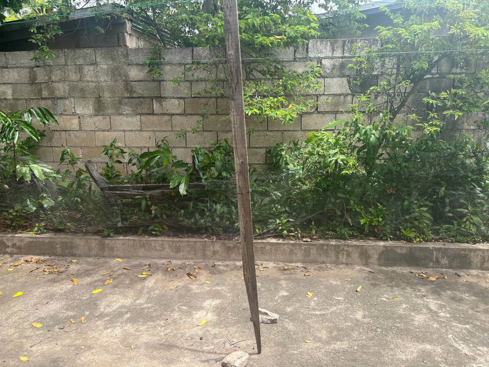 Charming-2-Family-Home-for-Sale-in-Three-Oaks-Gardens-Jamaica Sixteenth image of Champlain Avenue in Kingston 20, St. Andrew, Jamaica - property is For Sale
