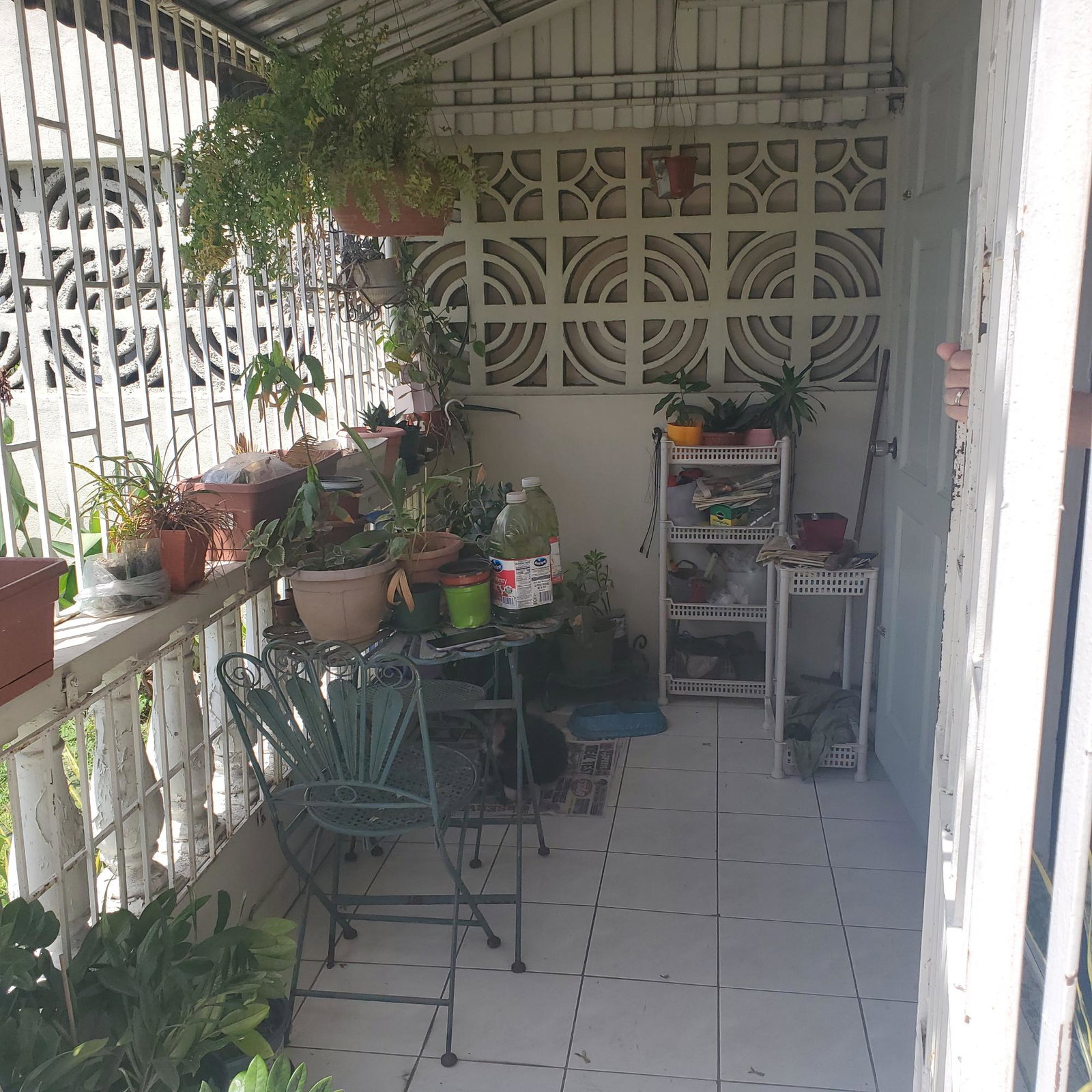 Charming-2-Unit-Townhouse-for-Sale-in-Kingston-6-Jamaica Third image of 64 Lady Musgrave, Musgrave in Kingston 6, St. Andrew, Jamaica - property is For Sale