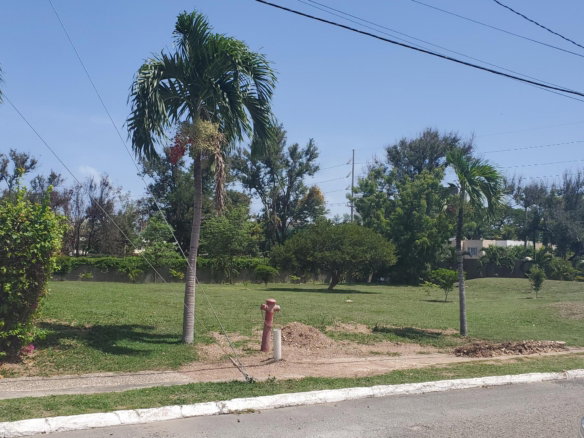 First image of 64 Lady Musgrave, Musgrave in Kingston 6, St. Andrew, Jamaica - property is For Sale
