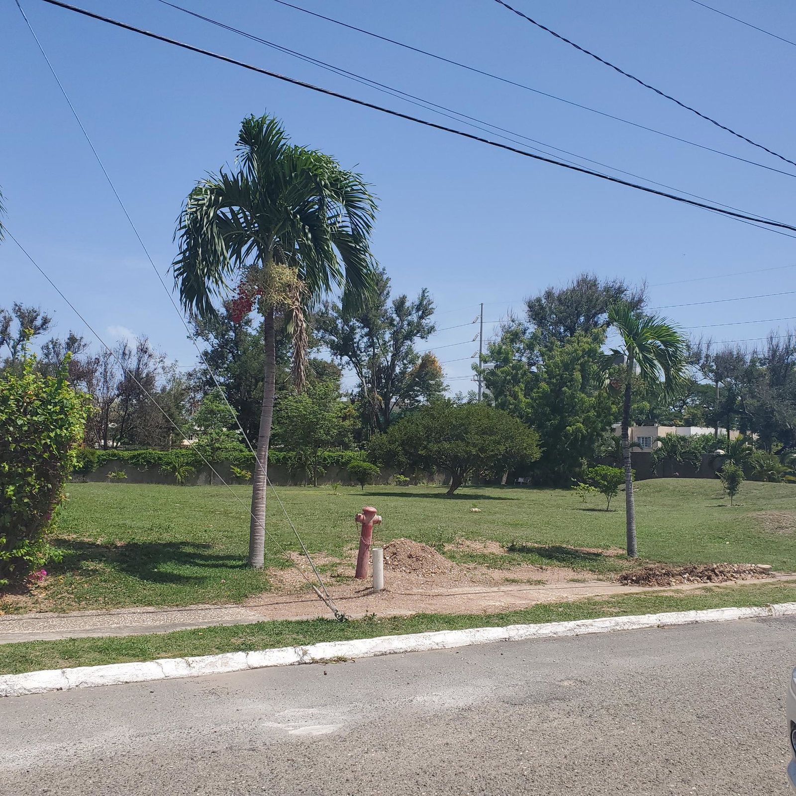 Charming-2-Unit-Townhouse-for-Sale-in-Kingston-6-Jamaica First image of 64 Lady Musgrave, Musgrave in Kingston 6, St. Andrew, Jamaica - property is For Sale