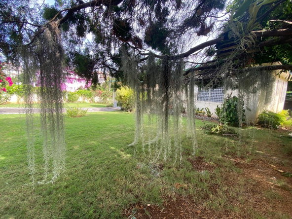 Fourth image of 1 Hall's Drive in Paradise Heights, St. James, Jamaica - property is For Sale