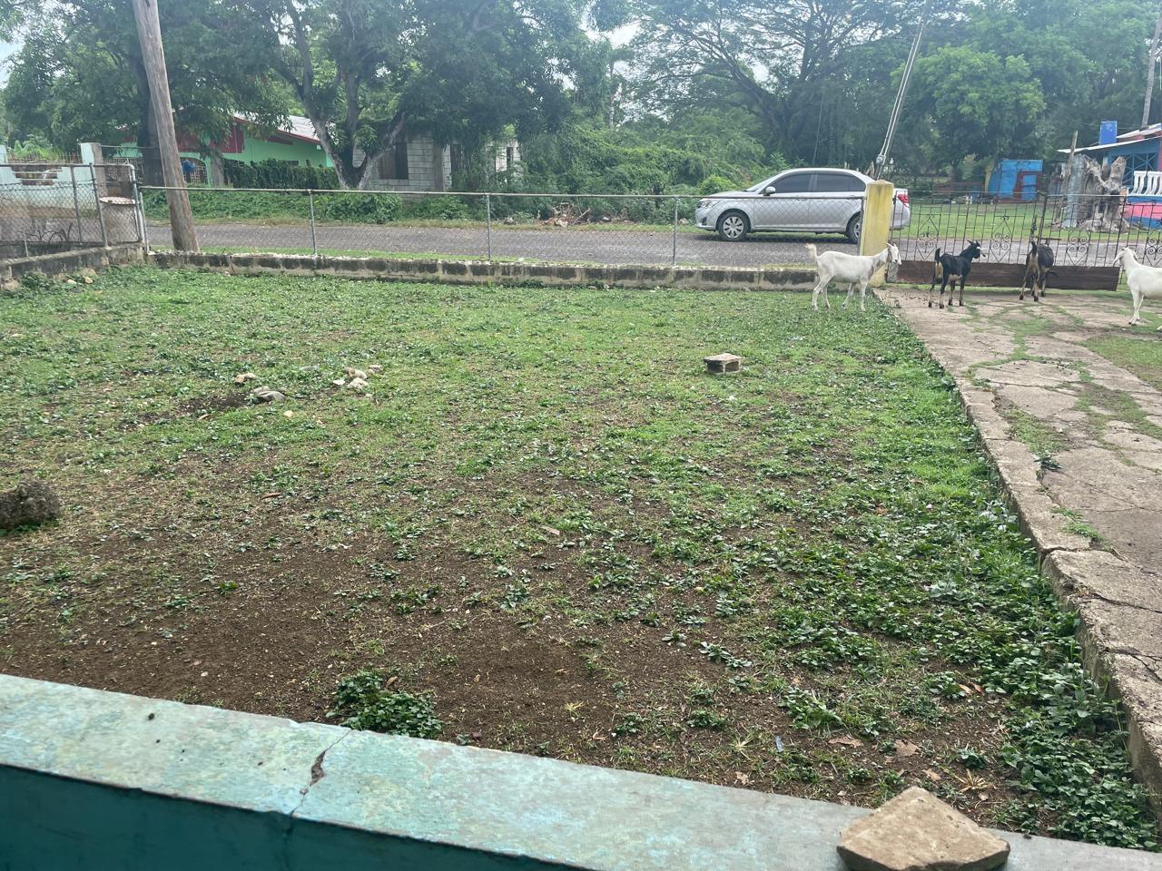 Eleventh image of 124 Nichols Dr. in Denbigh, Clarendon, Jamaica - property is For Sale