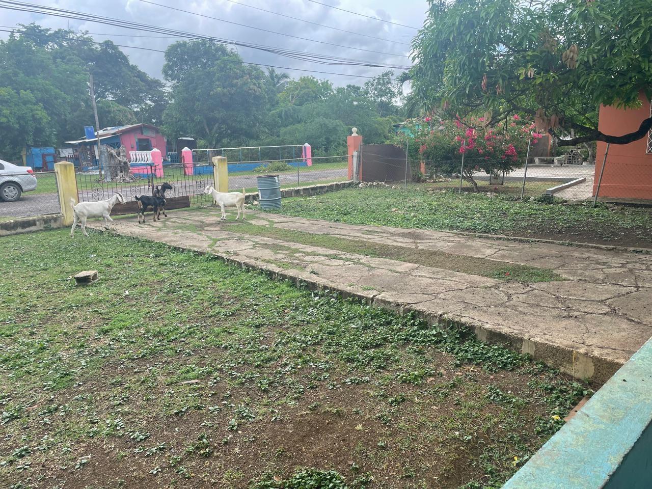 Third image of 124 Nichols Dr. in Denbigh, Clarendon, Jamaica - property is For Sale