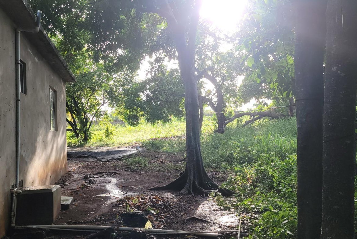 Thirteenth image of 64 Bowers Drive, Bowers Esta in Old Harbour, St. Catherine, Jamaica - property is For Sale