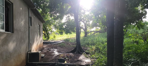Thirteenth image of 64 Bowers Drive, Bowers Esta in Old Harbour, St. Catherine, Jamaica - property is For Sale