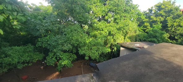 Thirtieth image of 64 Bowers Drive, Bowers Esta in Old Harbour, St. Catherine, Jamaica - property is For Sale