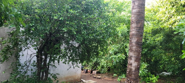 Seventh image of 64 Bowers Drive, Bowers Esta in Old Harbour, St. Catherine, Jamaica - property is For Sale
