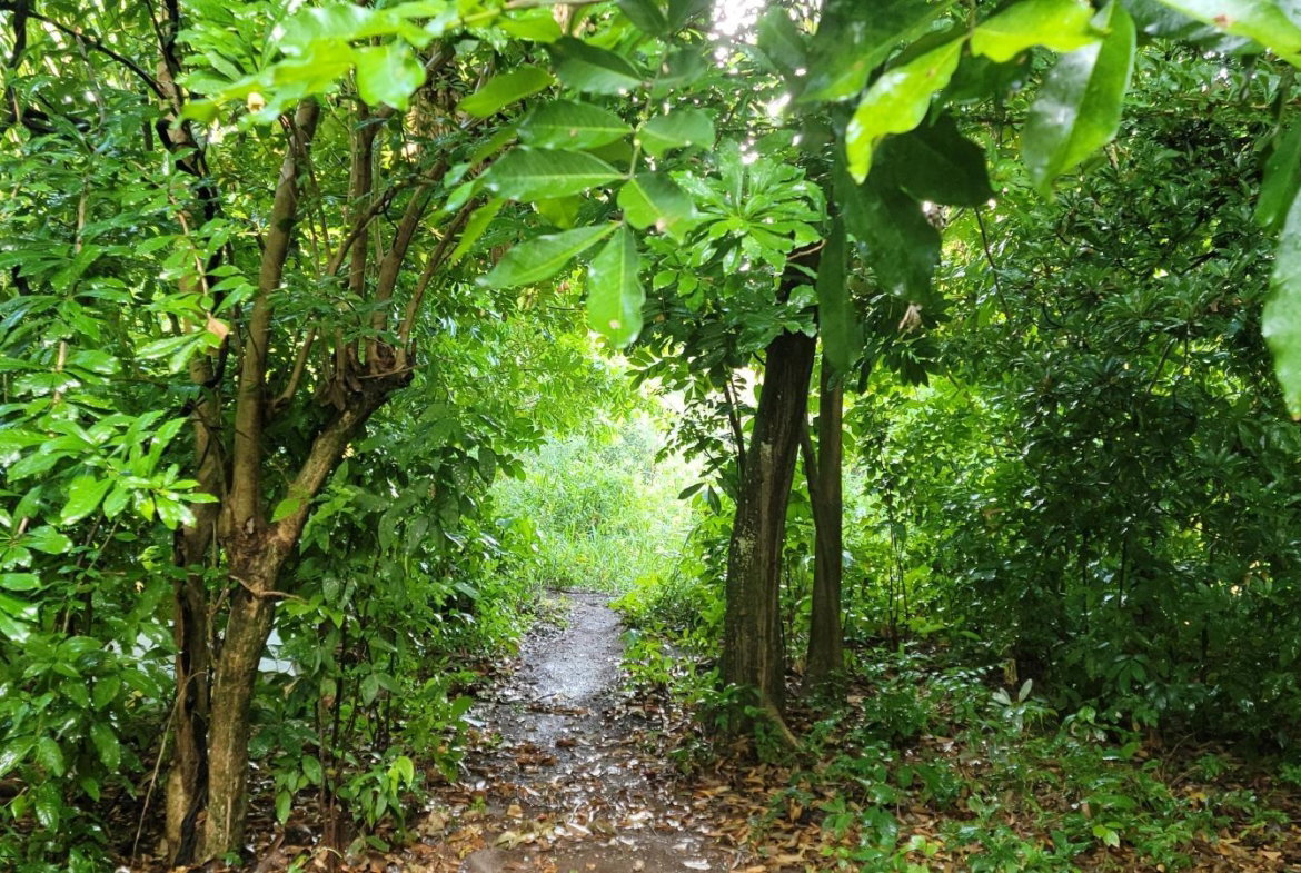 Ninth image of 64 Bowers Drive, Bowers Esta in Old Harbour, St. Catherine, Jamaica - property is For Sale