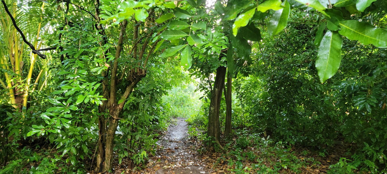 Charming-Fixer-Upper-Home-for-Sale-in-St.-Catherine-Jamaica Ninth image of 64 Bowers Drive, Bowers Esta in Old Harbour, St. Catherine, Jamaica - property is For Sale