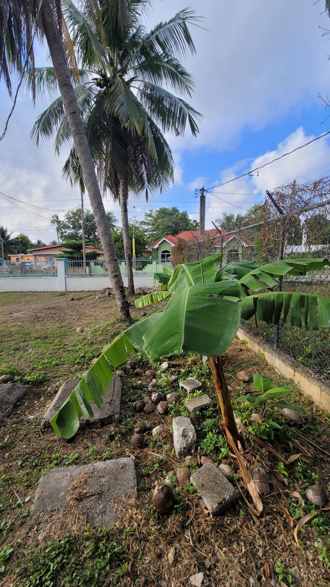 Sixth image of 22 North Street in May Pen, Clarendon, Jamaica - property is For Sale