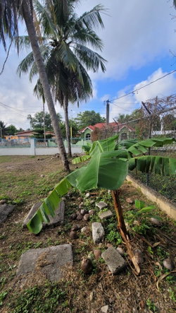 Sixth image of 22 North Street in May Pen, Clarendon, Jamaica - property is For Sale