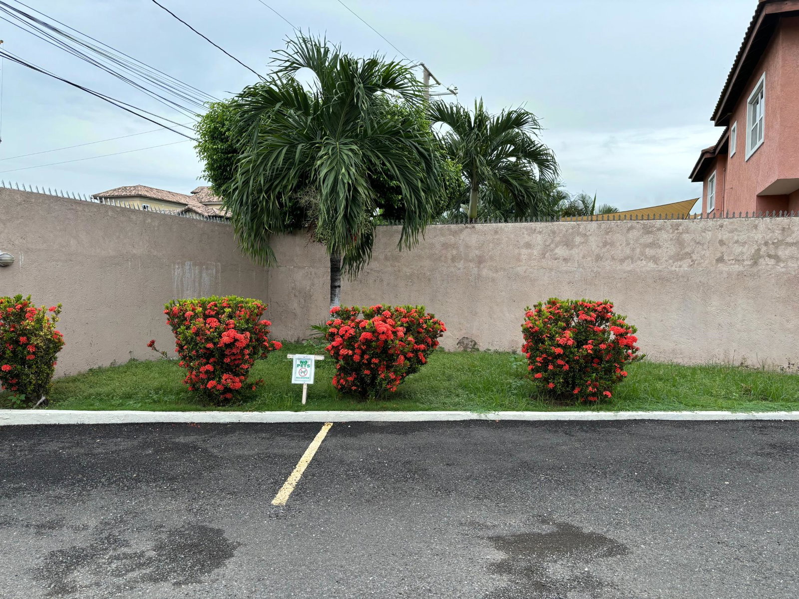 Third image of 11--- 48 Sandhurst Crescent in Kingston 6, St. Andrew, Jamaica - property is For Rent