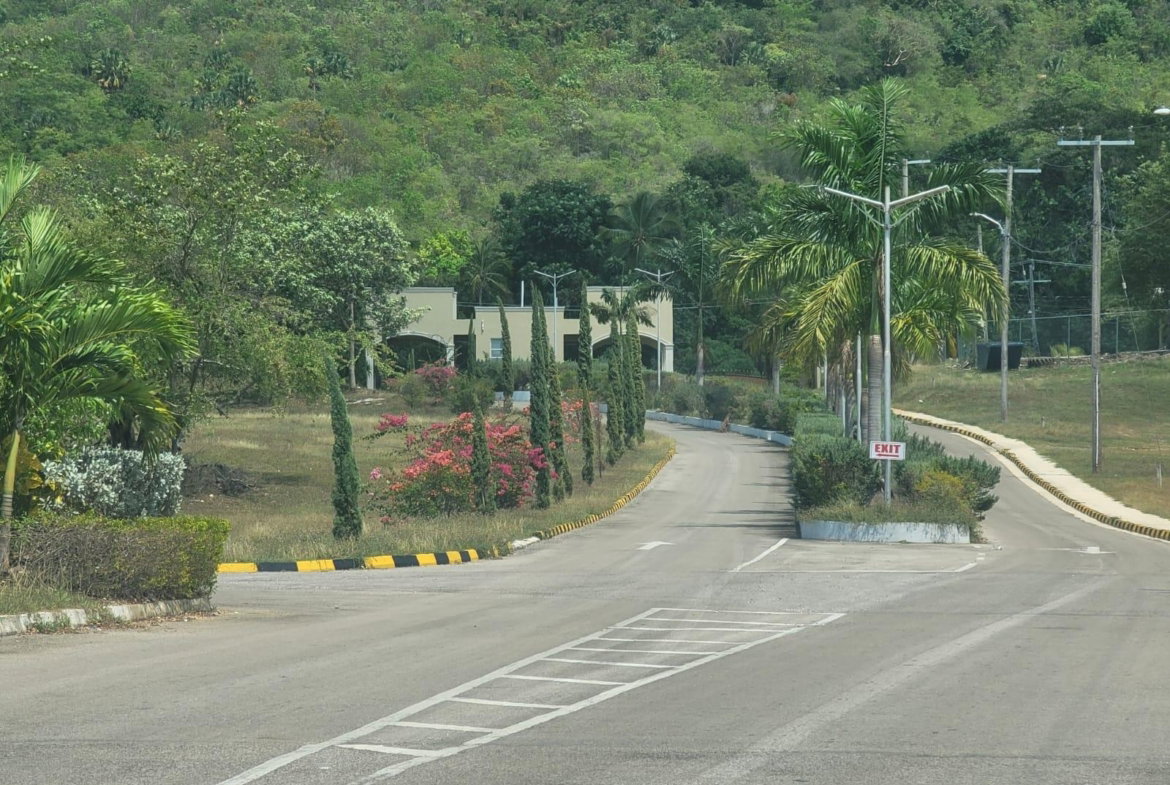 Twelfth image of Lot 385 Palmbrook Estate in Lacovia, St. Elizabeth, Jamaica - property is For Sale