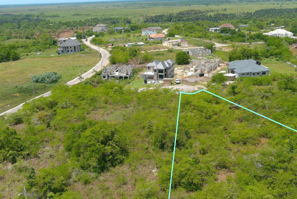 Seventh image of Lot 385 Palmbrook Estate in Lacovia, St. Elizabeth, Jamaica - property is For Sale