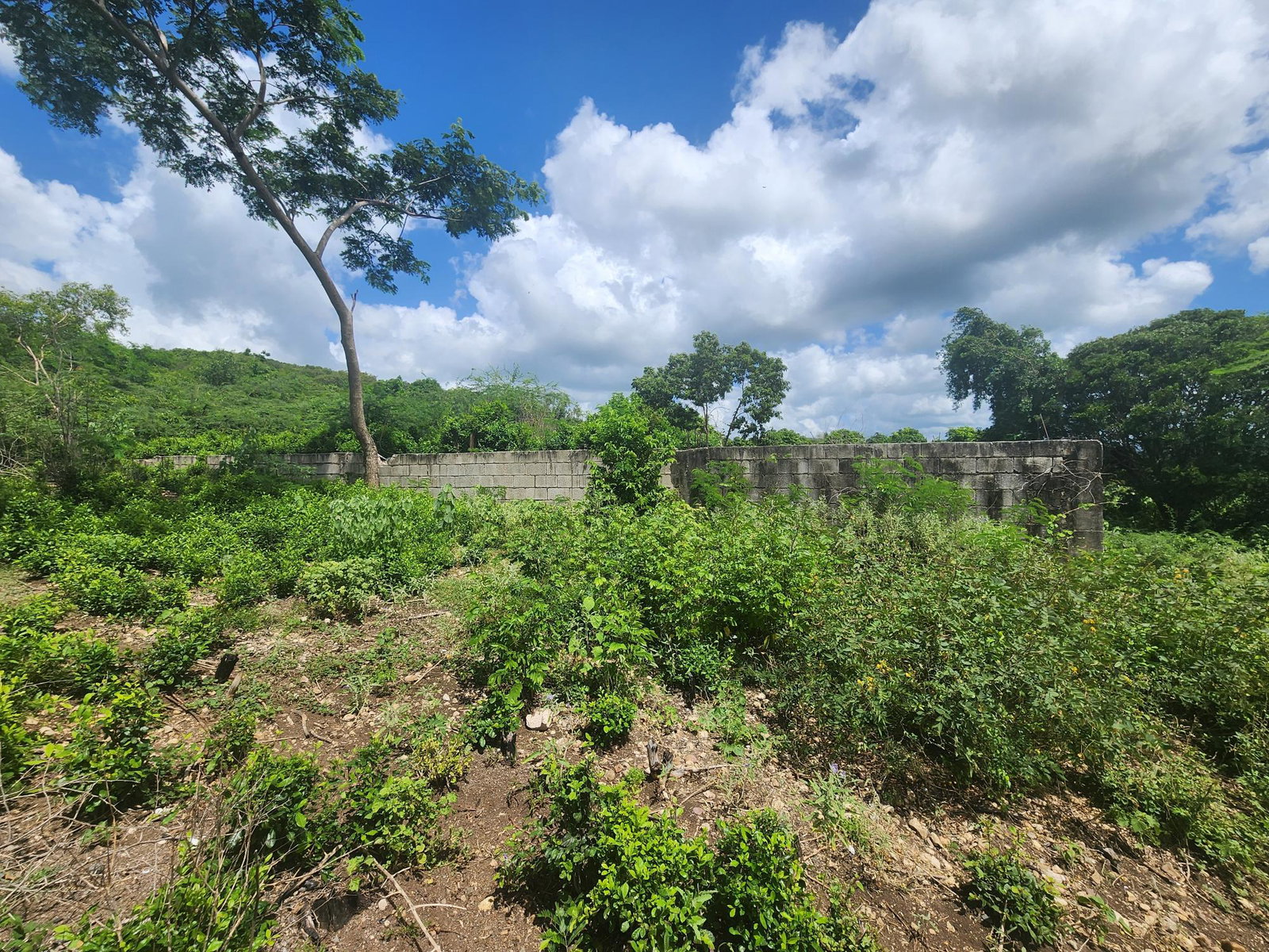 Dream-Home-Opportunity-in-Rosehall-Clarendon-34-Acre-Lot-for-Sale Second image of 111 Rosehall Boulevard in Freetown, Clarendon, Jamaica - property is For Sale