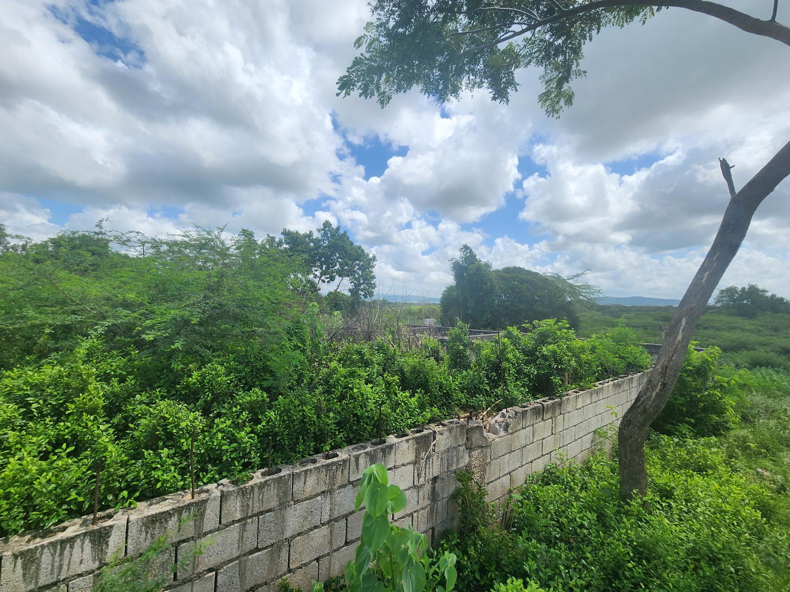 Dream-Home-Opportunity-in-Rosehall-Clarendon-34-Acre-Lot-for-Sale Twelfth image of 111 Rosehall Boulevard in Freetown, Clarendon, Jamaica - property is For Sale