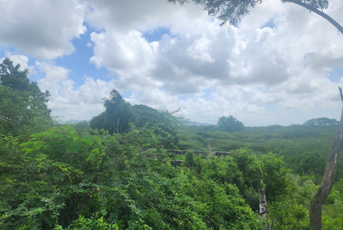 Thirteenth image of 111 Rosehall Boulevard in Freetown, Clarendon, Jamaica - property is For Sale