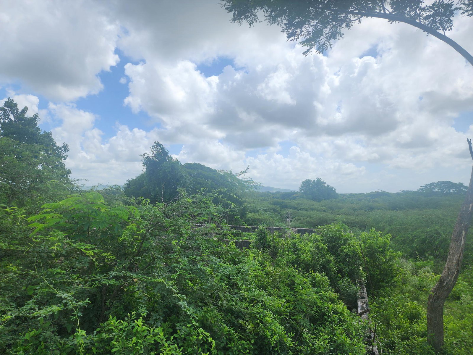 Dream-Home-Opportunity-in-Rosehall-Clarendon-34-Acre-Lot-for-Sale Thirteenth image of 111 Rosehall Boulevard in Freetown, Clarendon, Jamaica - property is For Sale