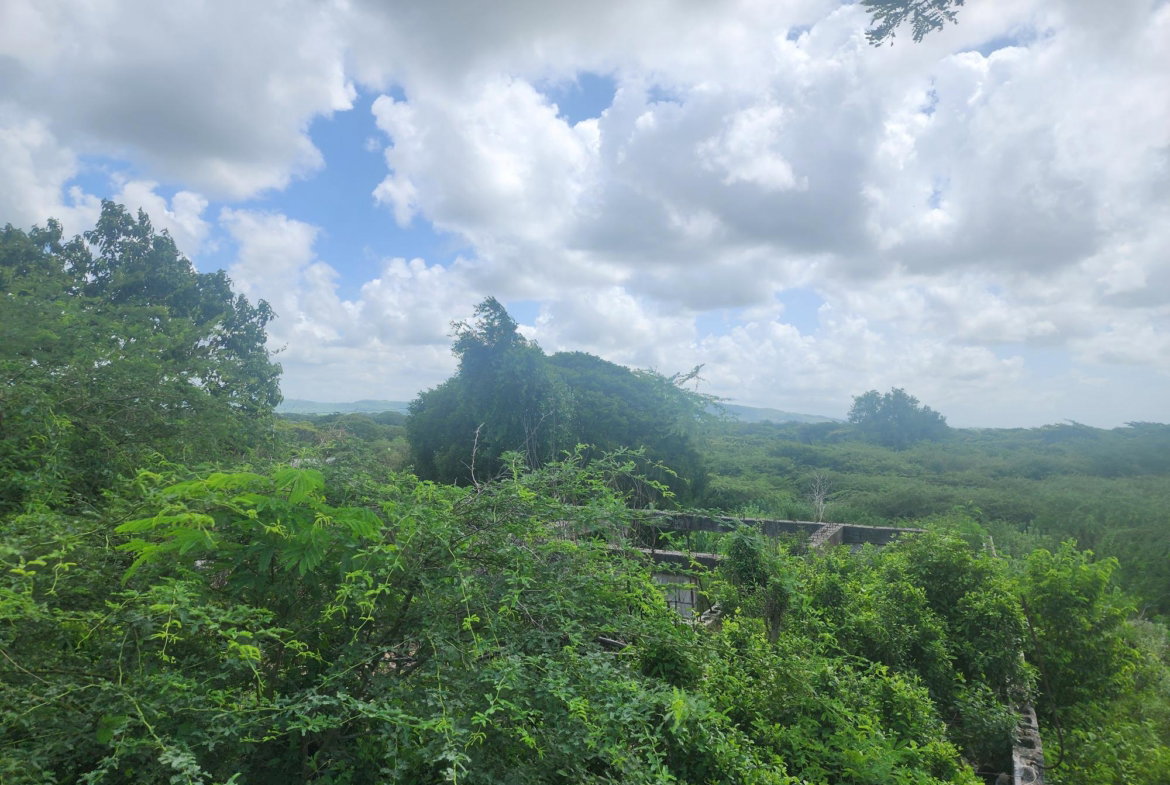 Fourteenth image of 111 Rosehall Boulevard in Freetown, Clarendon, Jamaica - property is For Sale