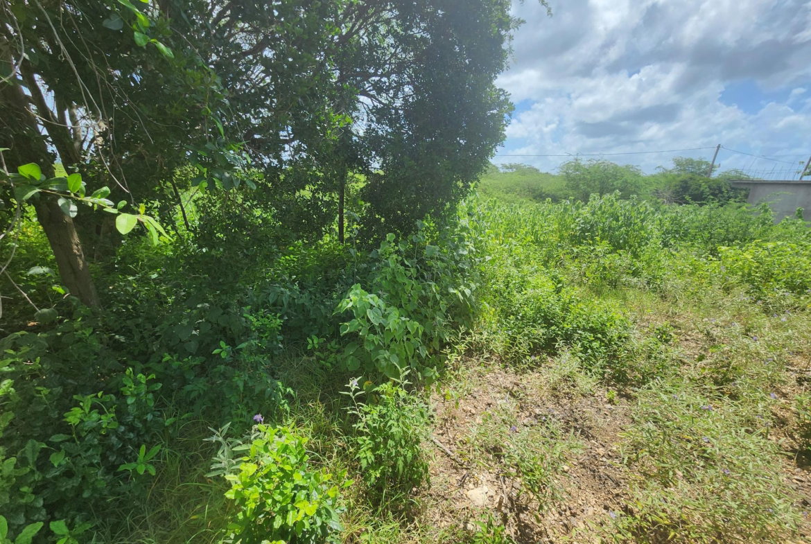 Third image of 111 Rosehall Boulevard in Freetown, Clarendon, Jamaica - property is For Sale