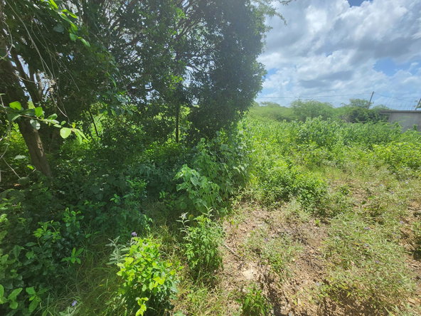 Third image of 111 Rosehall Boulevard in Freetown, Clarendon, Jamaica - property is For Sale