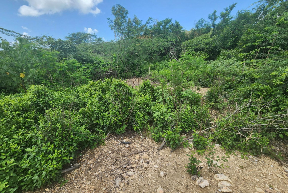 Twenty-Second image of 111 Rosehall Boulevard in Freetown, Clarendon, Jamaica - property is For Sale