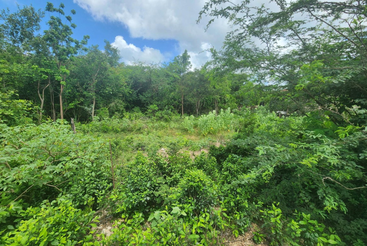 Twenty-Third image of 111 Rosehall Boulevard in Freetown, Clarendon, Jamaica - property is For Sale